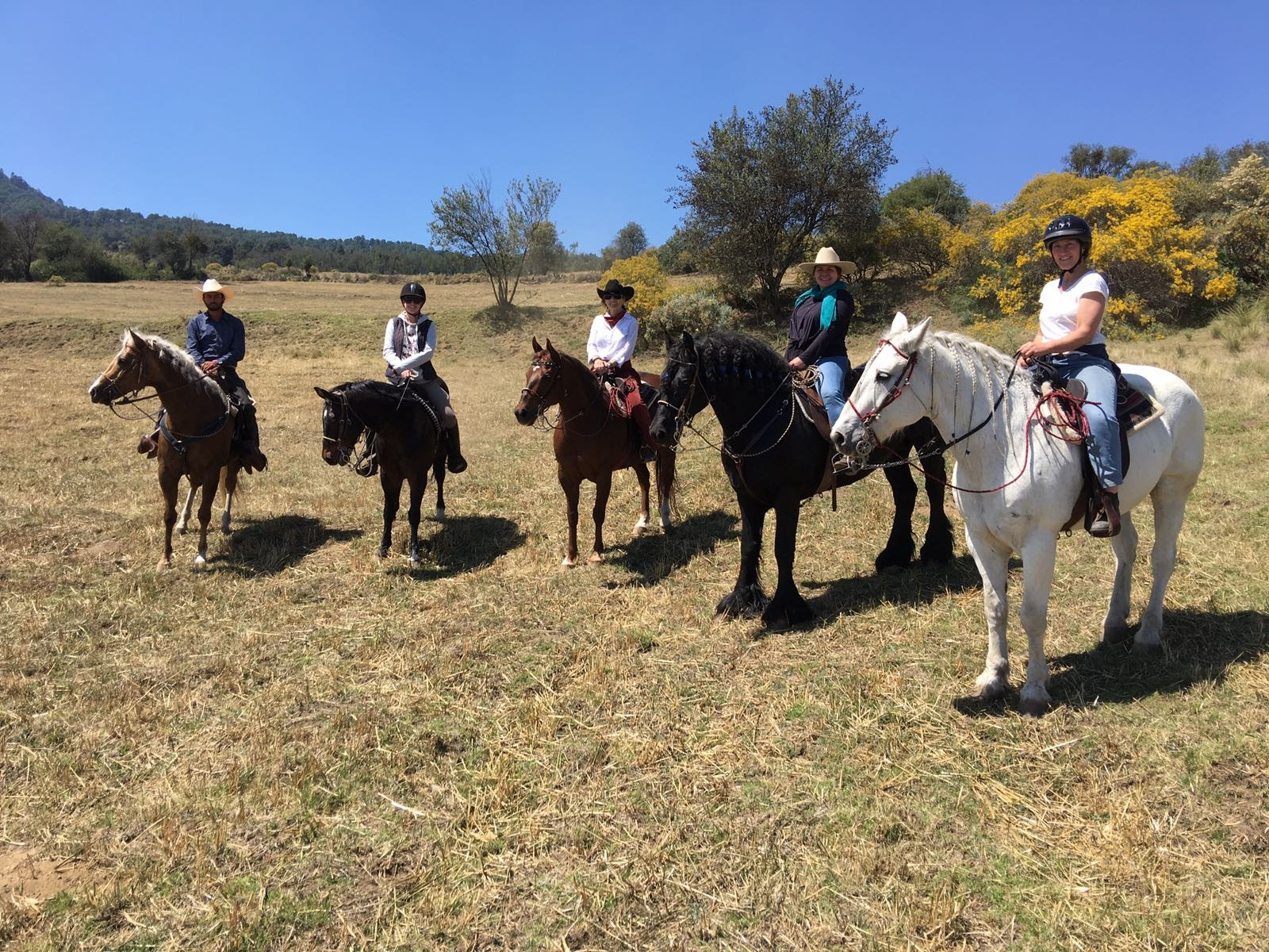 Day Trip to the Ranch